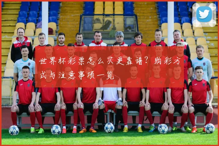 世界杯彩票怎么买更靠谱？购彩方式与注意事项一览