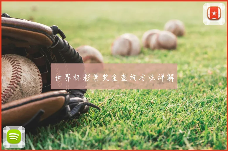 世界杯彩票奖金查询方法详解
