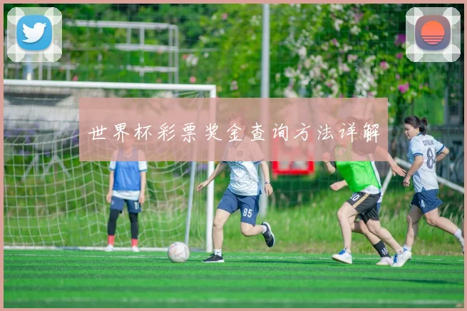 世界杯彩票奖金查询方法详解