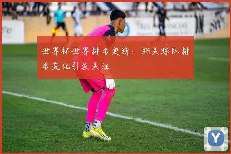 世界杯世界排名更新，相关球队排名变化引发关注